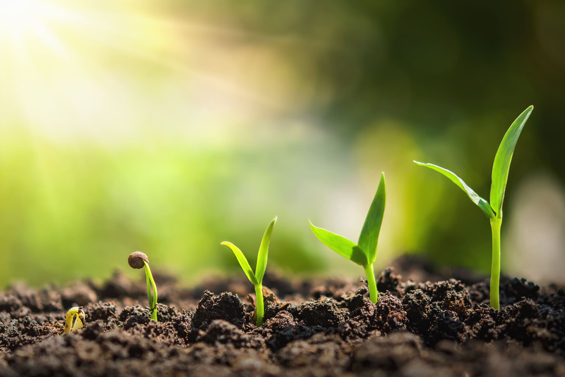 Sustainability Initiative